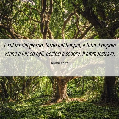 Picture 06 - Giovanni 8:2 RIV - E sul far del giorno, tornò nel tempio, e tutto - Bible Verse Picture
