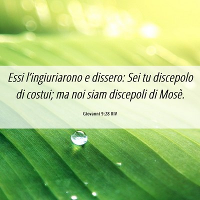 Picture 06 - Giovanni 9:28 RIV - Essi l’ingiuriarono e dissero: Sei tu discepolo - Bible Verse Picture