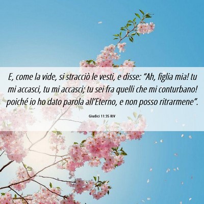 Picture 06 - Giudici 11:35 RIV - E, come la vide, si stracciò le vesti, e disse: - Bible Verse Picture