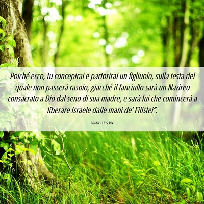 Picture 06 - Giudici 13:5 RIV - Poiché ecco, tu concepirai e partorirai un - Bible Verse Picture