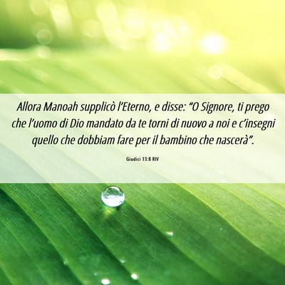 Picture 06 - Giudici 13:8 RIV - Allora Manoah supplicò l’Eterno, e disse: “O - Bible Verse Picture