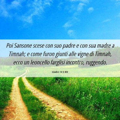 Picture 06 - Giudici 14:5 RIV - Poi Sansone scese con suo padre e con sua madre a - Bible Verse Picture