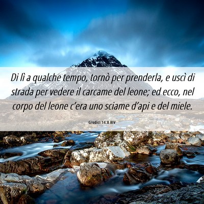 Picture 06 - Giudici 14:8 RIV - Di lì a qualche tempo, tornò per prenderla, e - Bible Verse Picture