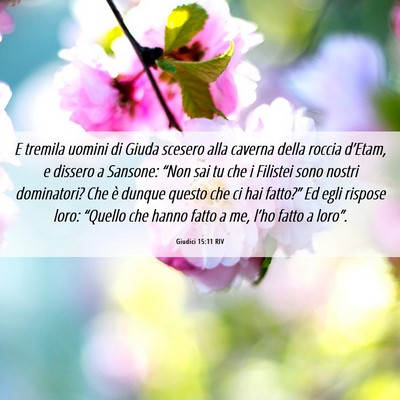 Picture 06 - Giudici 15:11 RIV - E tremila uomini di Giuda scesero alla caverna - Bible Verse Picture