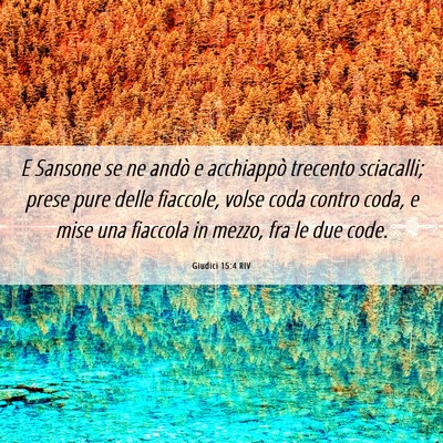 Picture 06 - Giudici 15:4 RIV - E Sansone se ne andò e acchiappò trecento - Bible Verse Picture