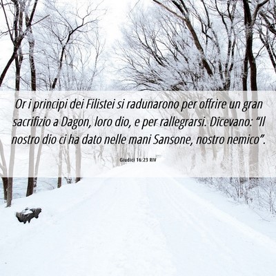Picture 06 - Giudici 16:23 RIV - Or i principi dei Filistei si radunarono per - Bible Verse Picture