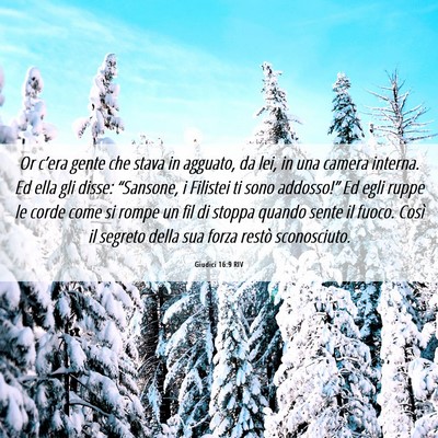 Picture 06 - Giudici 16:9 RIV - Or c’era gente che stava in agguato, da lei, in - Bible Verse Picture