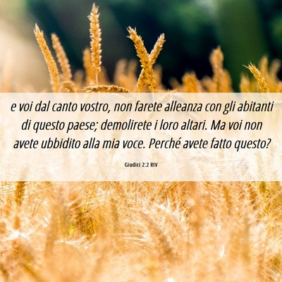 Picture 06 - Giudici 2:2 RIV - e voi dal canto vostro, non farete alleanza con - Bible Verse Picture