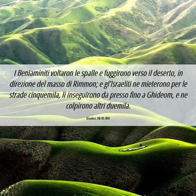 Picture 06 - Giudici 20:45 RIV - I Beniaminiti voltaron le spalle e fuggirono - Bible Verse Picture