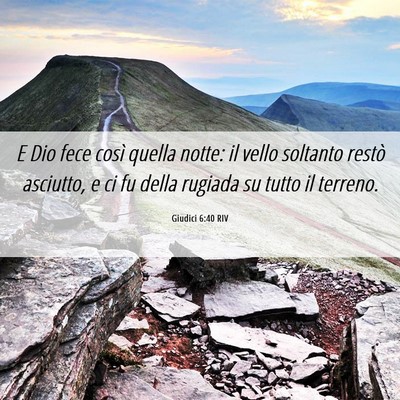 Picture 06 - Giudici 6:40 RIV - E Dio fece così quella notte: il vello soltanto - Bible Verse Picture