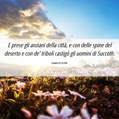 Picture 06 - Giudici 8:16 RIV - E prese gli anziani della città, e con delle - Bible Verse Picture