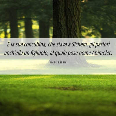 Picture 06 - Giudici 8:31 RIV - E la sua concubina, che stava a Sichem, gli - Bible Verse Picture