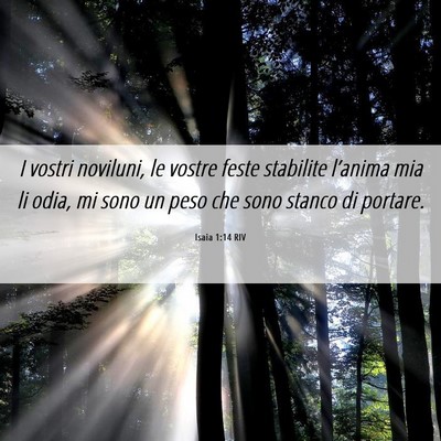 Picture 06 - Isaia 1:14 RIV - I vostri noviluni, le vostre feste stabilite - Bible Verse Picture