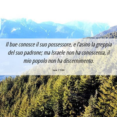 Picture 06 - Isaia 1:3 RIV - Il bue conosce il suo possessore, e l’asino la - Bible Verse Picture