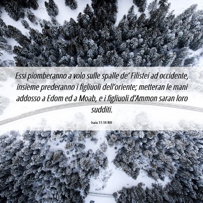Picture 06 - Isaia 11:14 RIV - Essi piomberanno a volo sulle spalle de’ - Bible Verse Picture