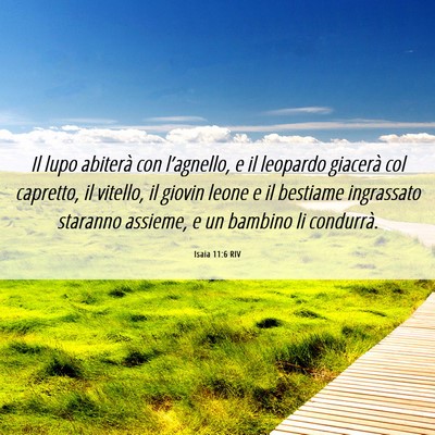 Picture 06 - Isaia 11:6 RIV - Il lupo abiterà con l’agnello, e il leopardo - Bible Verse Picture