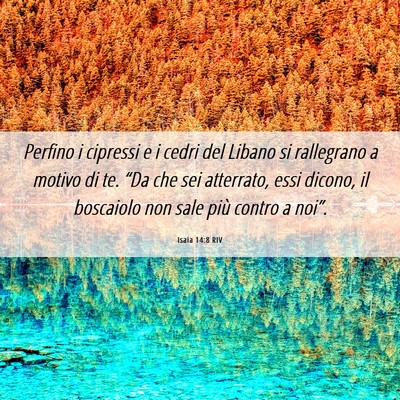 Picture 06 - Isaia 14:8 RIV - Perfino i cipressi e i cedri del Libano si - Bible Verse Picture
