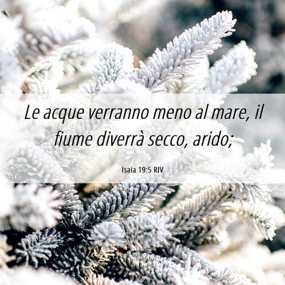 Picture 06 - Isaia 19:5 RIV - Le acque verranno meno al mare, il fiume diverrà - Bible Verse Picture