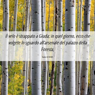 Picture 06 - Isaia 22:8 RIV - Il velo è strappato a Giuda; in quel giorno, - Bible Verse Picture
