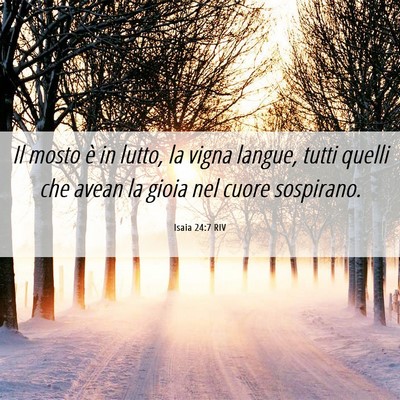 Picture 06 - Isaia 24:7 RIV - Il mosto è in lutto, la vigna langue, tutti - Bible Verse Picture