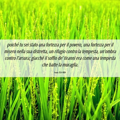 Picture 06 - Isaia 25:4 RIV - poiché tu sei stato una fortezza per il povero, - Bible Verse Picture