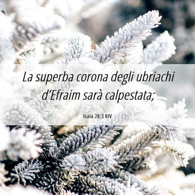 Picture 06 - Isaia 28:3 RIV - La superba corona degli ubriachi d’Efraim sarà - Bible Verse Picture
