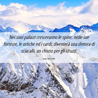 Picture 06 - Isaia 34:13 RIV - Nei suoi palazzi cresceranno le spine; nelle sue - Bible Verse Picture