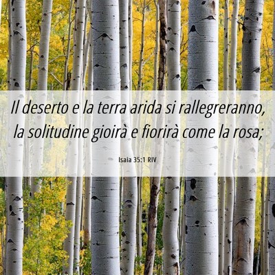 Picture 06 - Isaia 35:1 RIV - Il deserto e la terra arida si rallegreranno, la - Bible Verse Picture