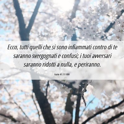 Picture 06 - Isaia 41:11 RIV - Ecco, tutti quelli che si sono infiammati contro - Bible Verse Picture