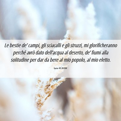 Picture 06 - Isaia 43:20 RIV - Le bestie de’ campi, gli sciacalli e gli - Bible Verse Picture