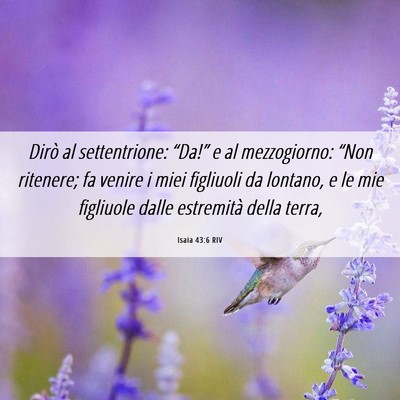 Picture 06 - Isaia 43:6 RIV - Dirò al settentrione: “Da!” e al - Bible Verse Picture