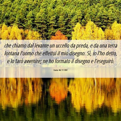 Picture 06 - Isaia 46:11 RIV - che chiamo dal levante un uccello da preda, e da - Bible Verse Picture