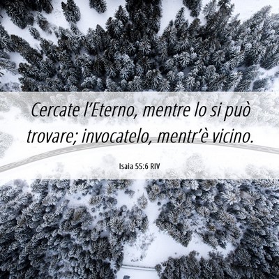 Picture 06 - Isaia 55:6 RIV - Cercate l’Eterno, mentre lo si può trovare; - Bible Verse Picture