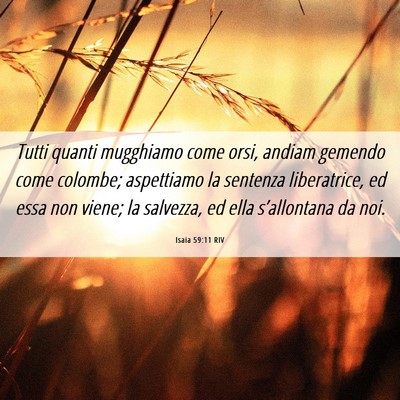 Picture 06 - Isaia 59:11 RIV - Tutti quanti mugghiamo come orsi, andiam gemendo - Bible Verse Picture