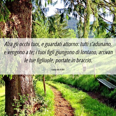 Picture 06 - Isaia 60:4 RIV - Alza gli occhi tuoi, e guardati attorno: tutti - Bible Verse Picture