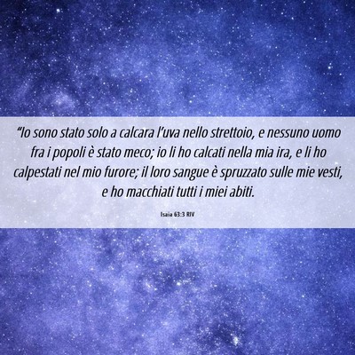 Picture 06 - Isaia 63:3 RIV - “Io sono stato solo a calcara l’uva nello - Bible Verse Picture