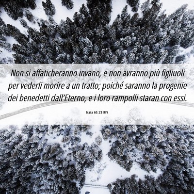 Picture 06 - Isaia 65:23 RIV - Non si affaticheranno invano, e non avranno più - Bible Verse Picture
