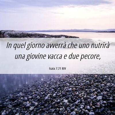 Picture 06 - Isaia 7:21 RIV - In quel giorno avverrà che uno nutrirà una - Bible Verse Picture
