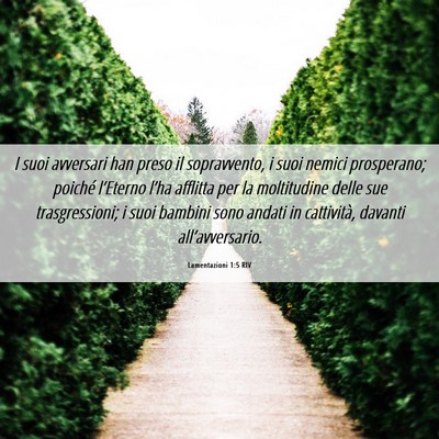 Picture 06 - Lamentazioni 1:5 RIV - I suoi avversari han preso il sopravvento, i suoi - Bible Verse Picture