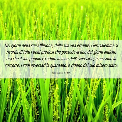Picture 06 - Lamentazioni 1:7 RIV - Nei giorni della sua afflizione, della sua vita - Bible Verse Picture