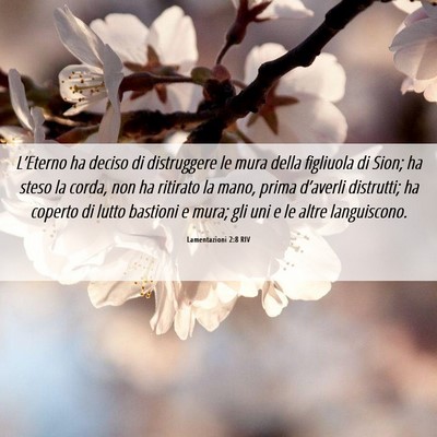 Picture 06 - Lamentazioni 2:8 RIV - L’Eterno ha deciso di distruggere le mura della - Bible Verse Picture