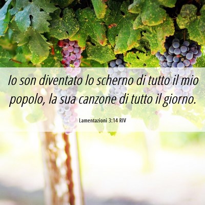 Picture 06 - Lamentazioni 3:14 RIV - Io son diventato lo scherno di tutto il mio - Bible Verse Picture