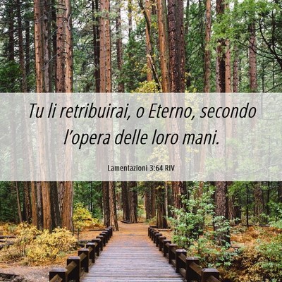Picture 06 - Lamentazioni 3:64 RIV - Tu li retribuirai, o Eterno, secondo l’opera - Bible Verse Picture