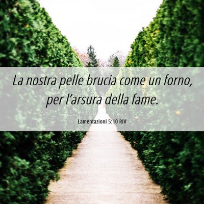 Picture 06 - Lamentazioni 5:10 RIV - La nostra pelle brucia come un forno, per - Bible Verse Picture