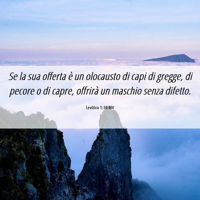 Picture 06 - Levitico 1:10 RIV - Se la sua offerta è un olocausto di capi di - Bible Verse Picture