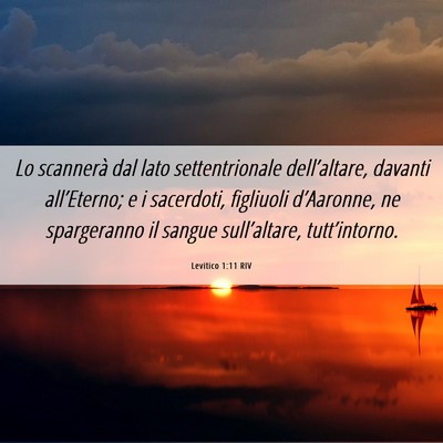 Picture 06 - Levitico 1:11 RIV - Lo scannerà dal lato settentrionale - Bible Verse Picture