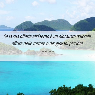 Picture 06 - Levitico 1:14 RIV - Se la sua offerta all’Eterno è un olocausto - Bible Verse Picture
