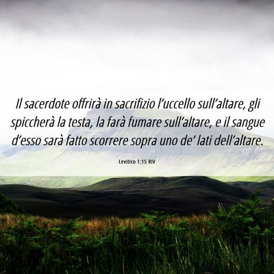 Picture 06 - Levitico 1:15 RIV - Il sacerdote offrirà in sacrifizio l’uccello - Bible Verse Picture