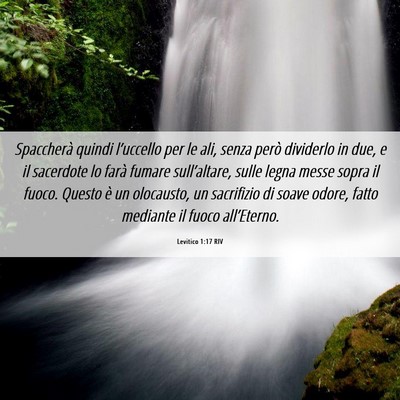 Picture 06 - Levitico 1:17 RIV - Spaccherà quindi l’uccello per le ali, senza - Bible Verse Picture