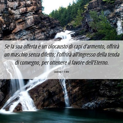 Picture 06 - Levitico 1:3 RIV - Se la sua offerta è un olocausto di capi - Bible Verse Picture